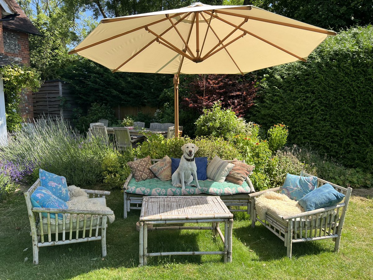 Swift making the most of our new @instashade_uk parasol instashade.co.uk/?gclid=EAIaIQo… #ad