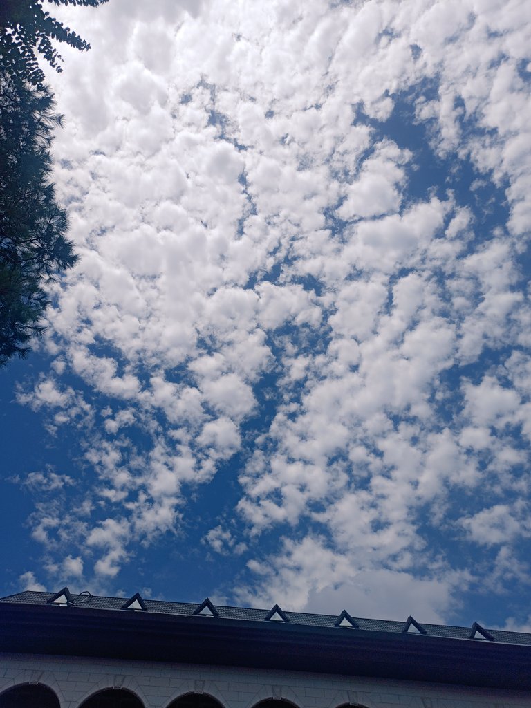 Good day! :)
Not related to the picture but, what's with the new 'threads'? 
Still thinking if I Should try it or not 🤔