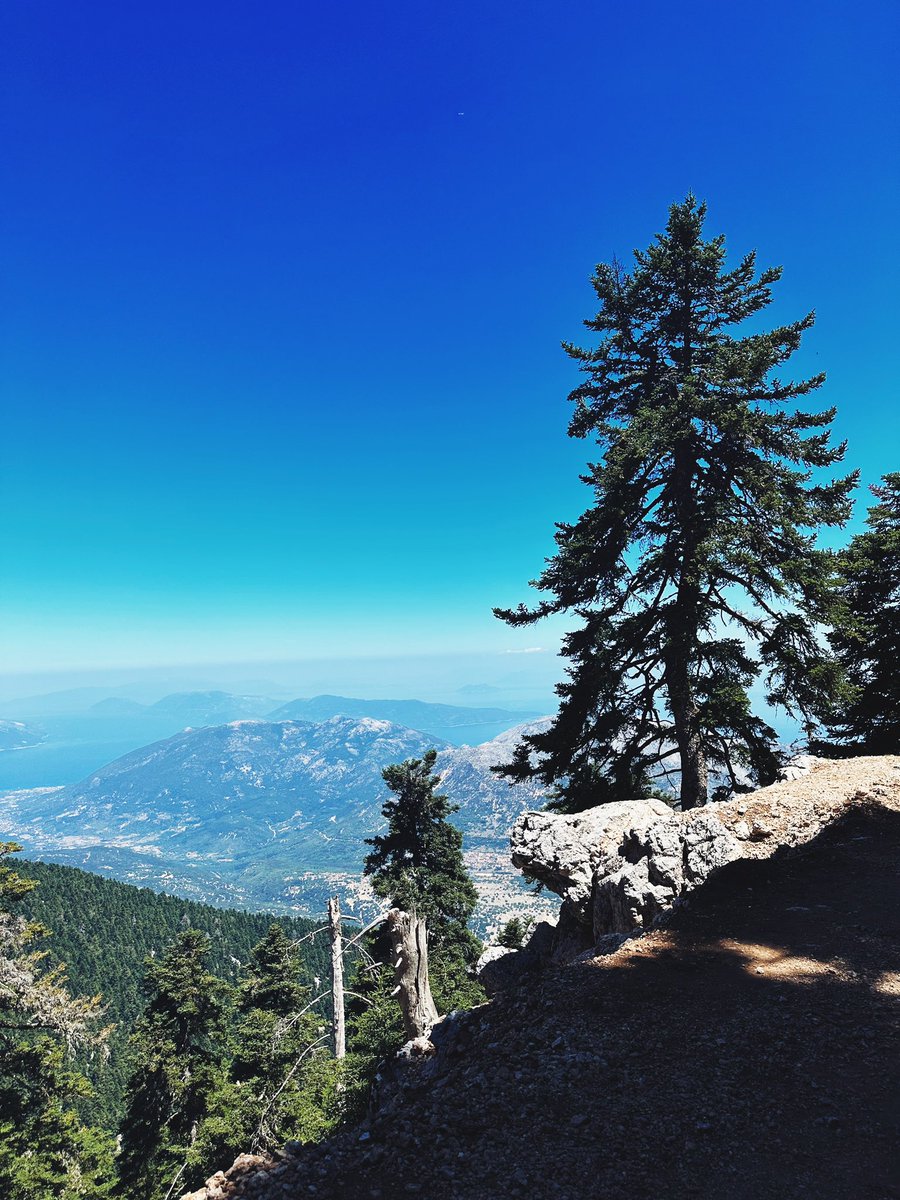 Dylan McKee tweet media