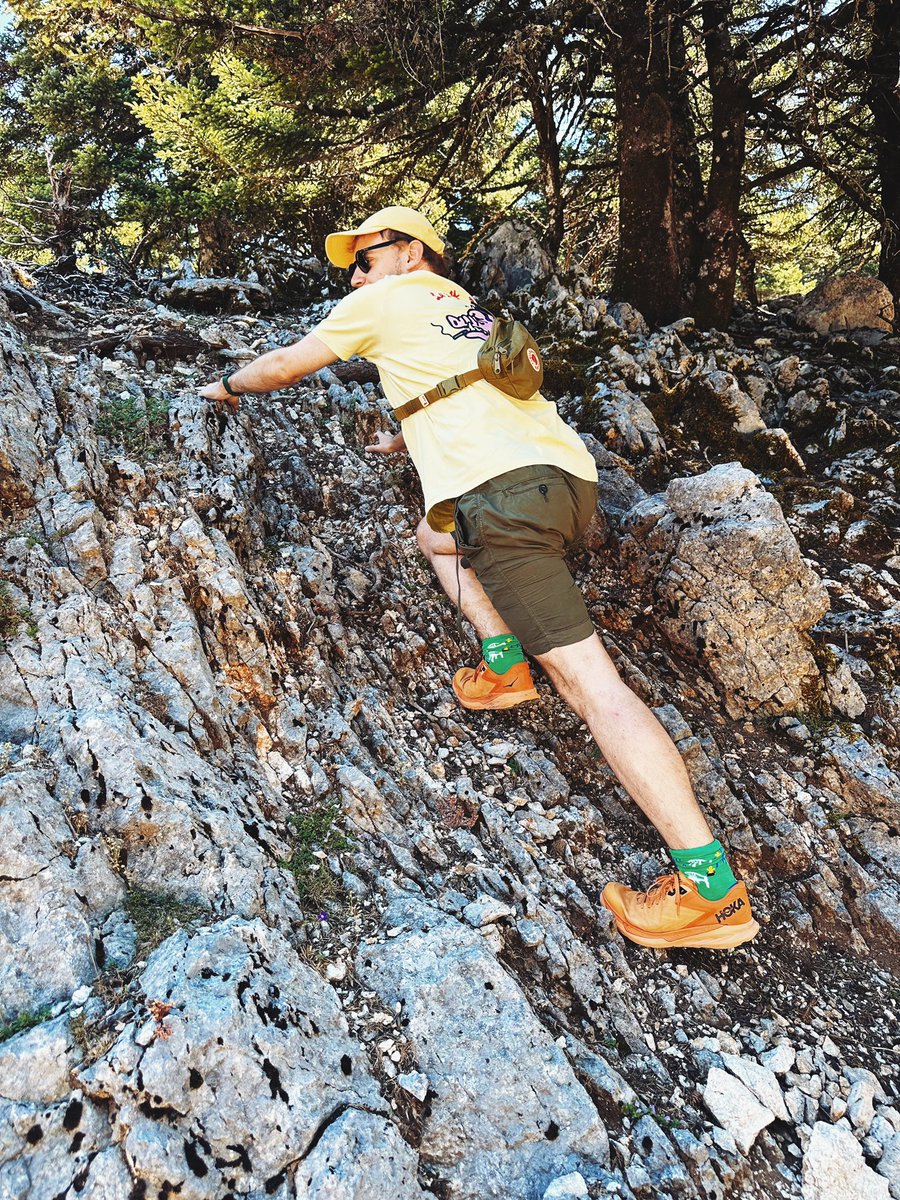 Dylan McKee tweet media