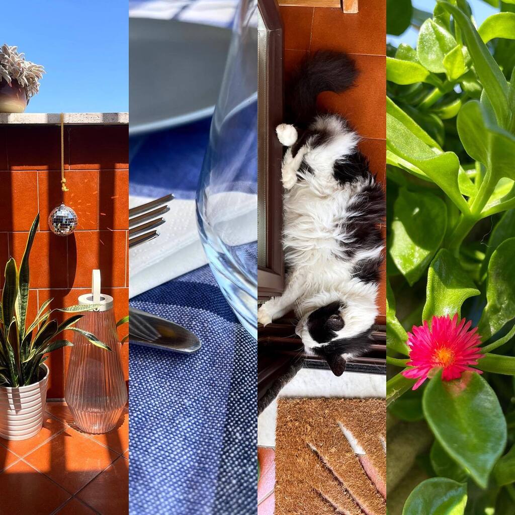 bastet's tweet image. La prima domenica che sa di domenica. Dopo tanto.

#summerishere #bastetloft #bastetroof #sundays instagr.am/p/CueY5W0MAPK/