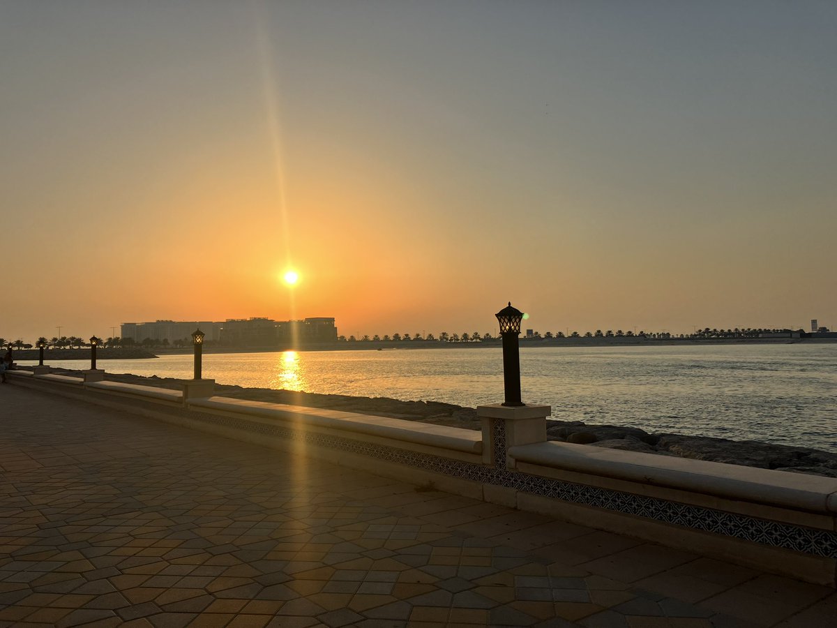 Ms . Molloy - Inclusion Lead tweet media