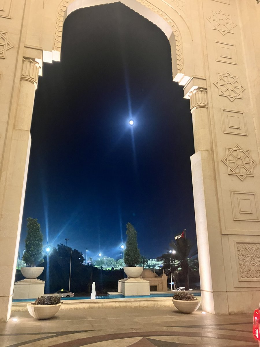 Ms . Molloy - Inclusion Lead tweet media