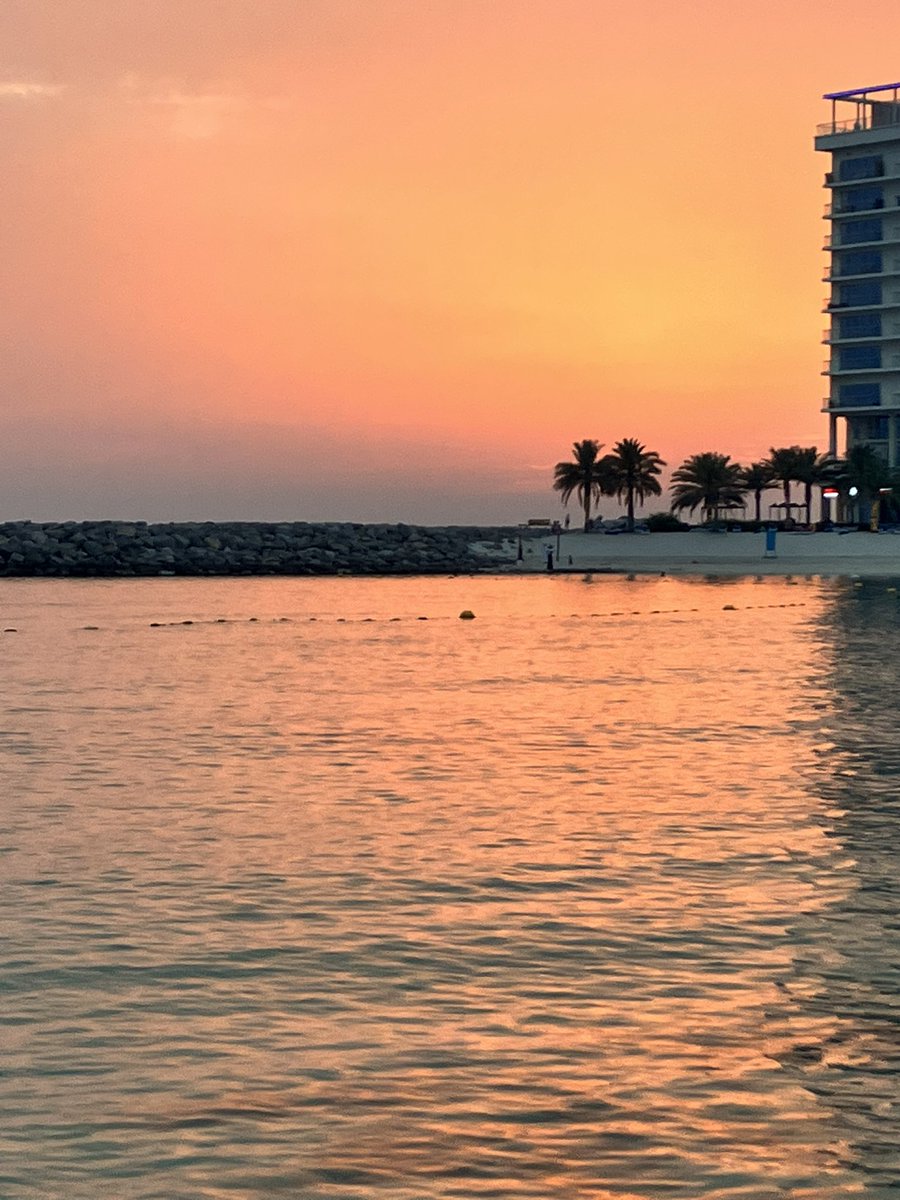 Ms . Molloy - Inclusion Lead tweet media