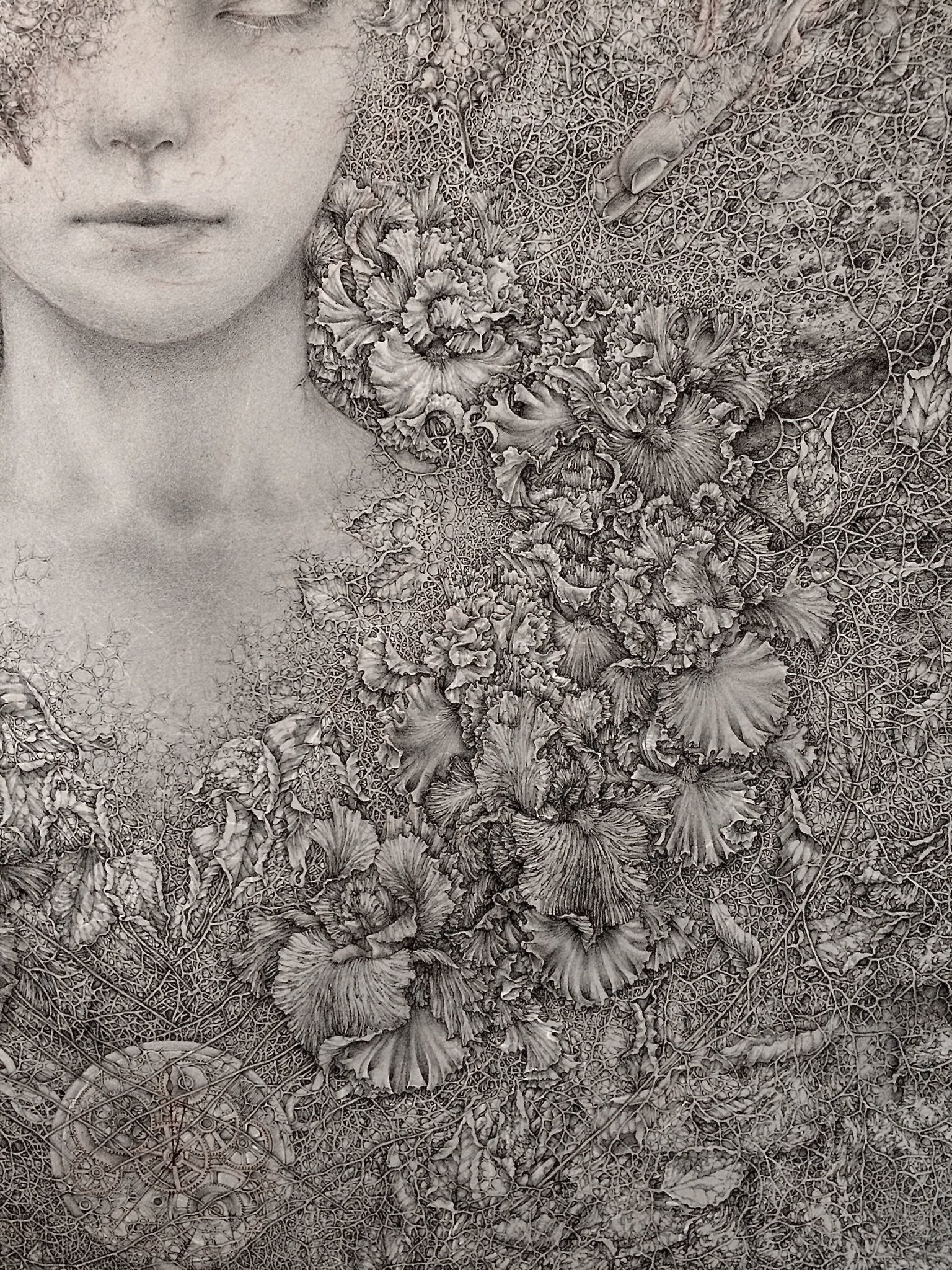 稲葉喜美子 アンコール encore オンラインストア販促 本・音楽・ゲーム