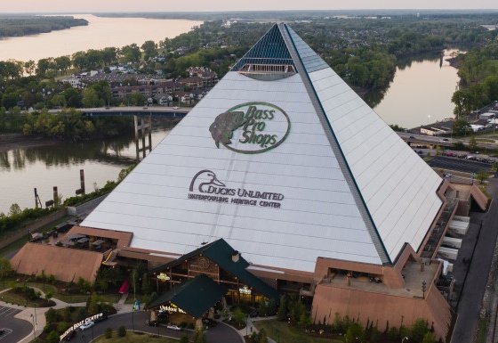 Classical Studies Memes tweet media