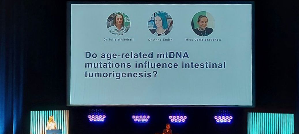 MitoResearch's tweet photo. Dr Laura Greaves from the WCMR @UniofNewcastle presenting today at  the 47th FEBS annual congress 💚

@CRUKresearch #mitoresearch #teamnewcastle #FEBS2023 https://t.co/K0eGUFUkx8