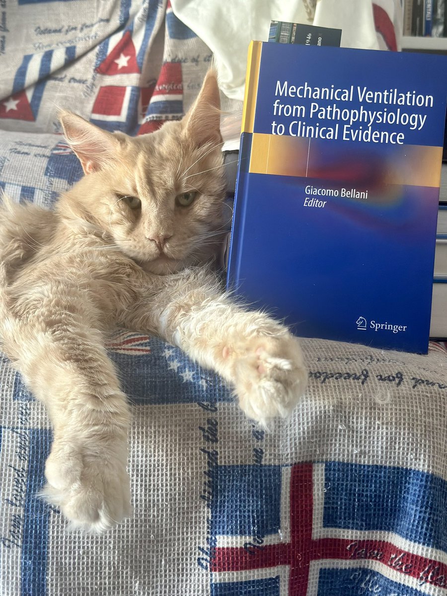 Silvia De Rosa tweet media