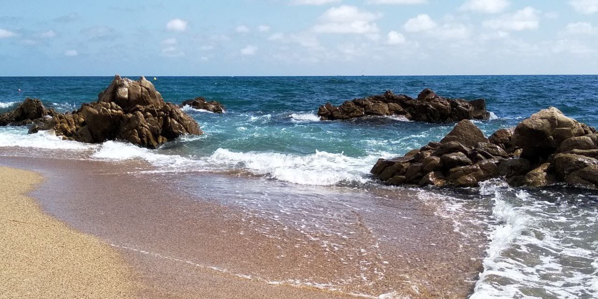 📆 Guarda la data! 

Següent trobada: dissabte 22 juliol a Sant Pol de Mar. 

Més info properament.