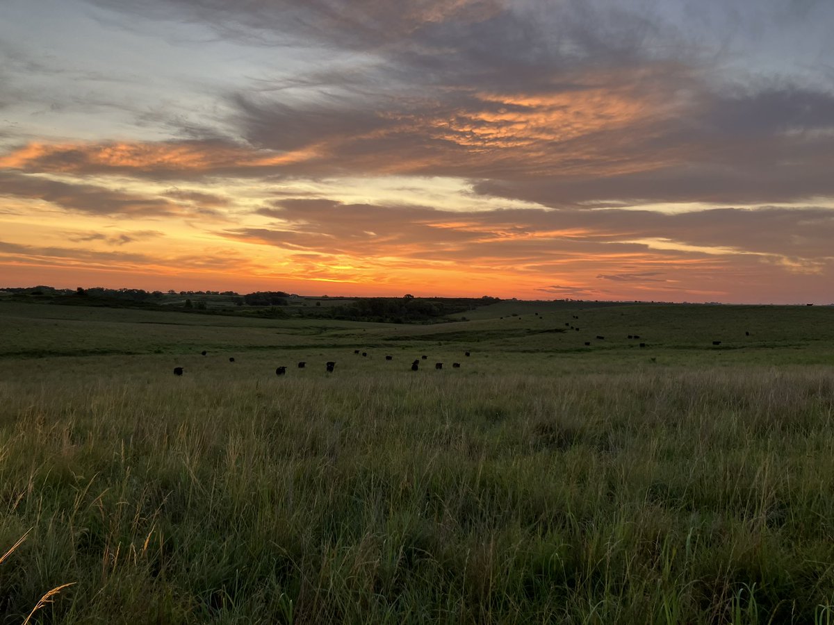 Can’t beat Sunday morning views like this