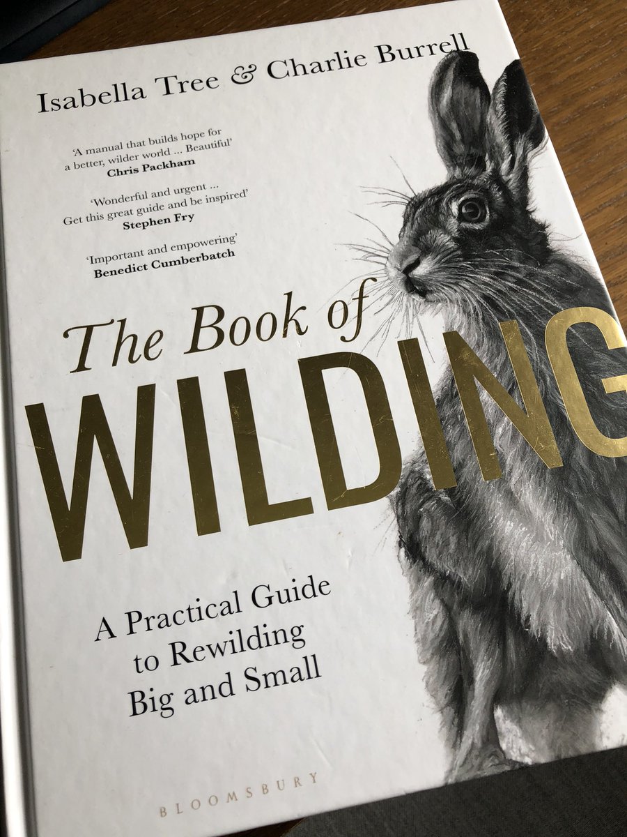 Drew Bennellick tweet media