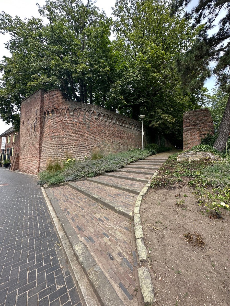 Dorothé VosHeijneman tweet media