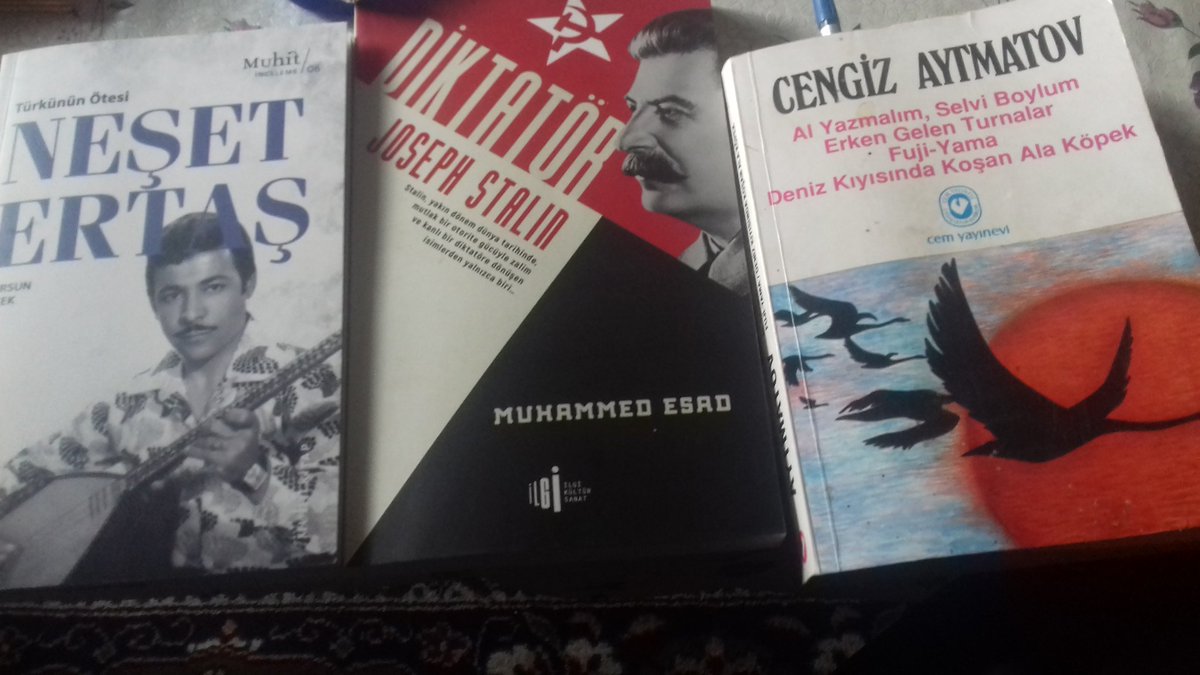 Ne düşünürsünüz. Sadece merak ettim.