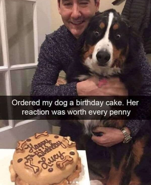 WholesomeMemes (@wholesomememe) on Twitter photo 