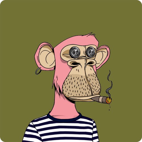 CryptoXeta ❤️ tweet media