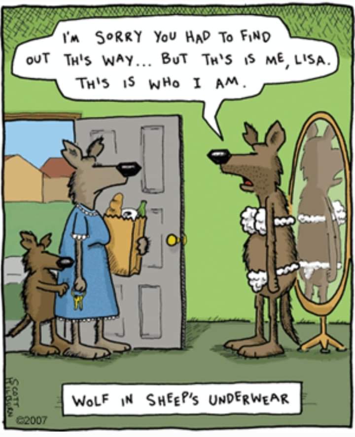 Morning.... Wolf whistle? 🐺😂