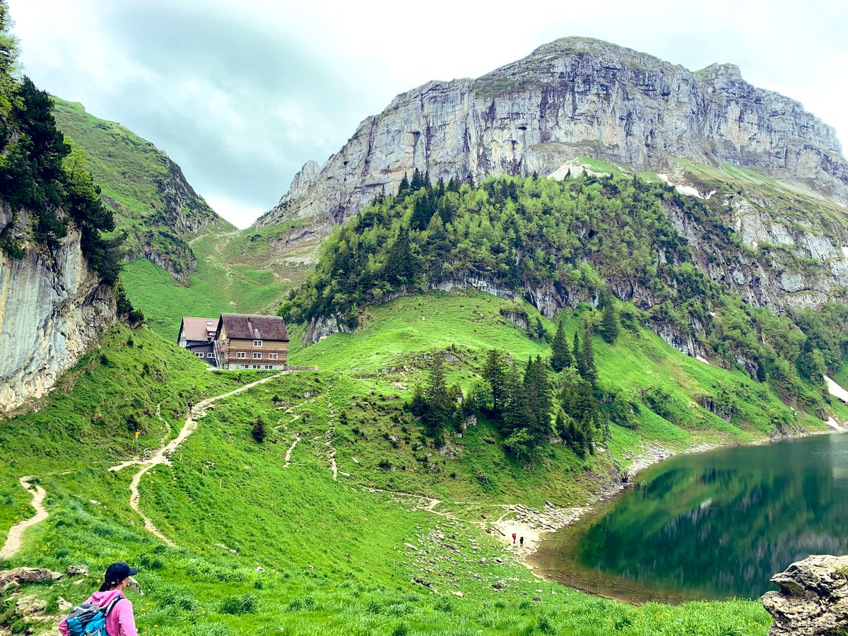 𝓜𝓪𝓻𝓪 ¯_(ツ)_/¯ tweet media