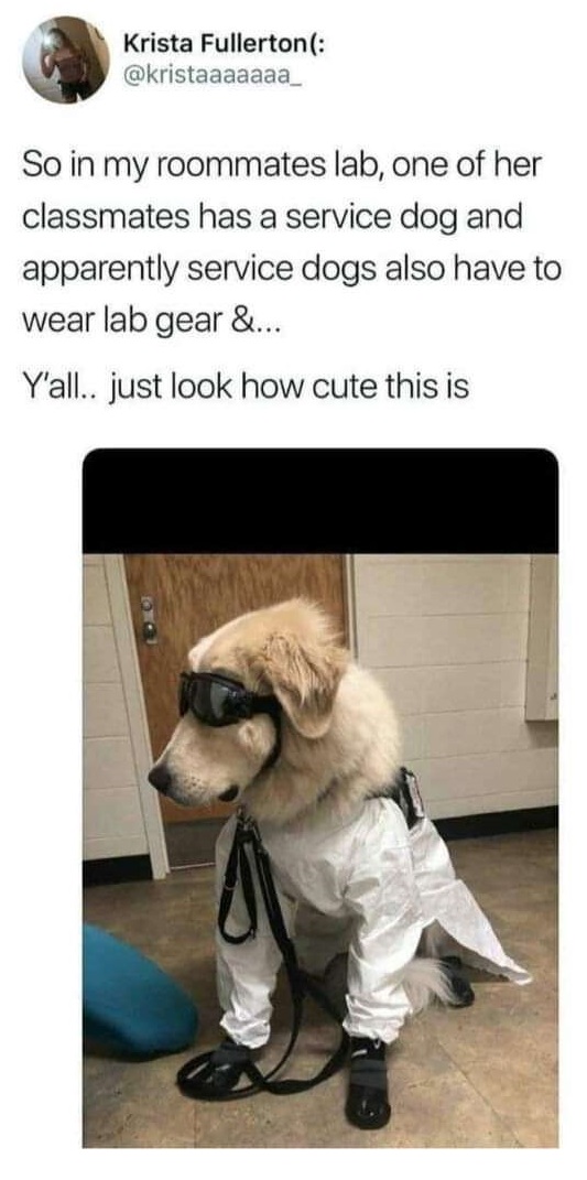 Original tweet by Krista <a href="/kristaaaaaaa_/">Krista Fullerton(:</a>