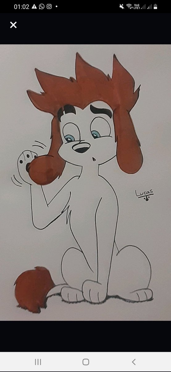 danny_dalmatian's tweet photo. Freddy with brown and white poodle hair 🐶 #100wolf https://t.co/gfcl27L32x