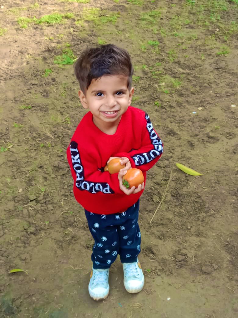 Nalin Yadav,IFS (@nalinyadavifs) on Twitter photo Hello <a href="/mcdonaldsindia/">McDonald's India</a> !!!!
In case you need some help. Pls dm.
#kitchengarden #Tomatoes #TomatoPriceHike Hello <a href="/mcdonaldsindia/">McDonald's India</a> !!!!
In case you need some help. Pls dm.
#kitchengarden #Tomatoes #TomatoPriceHike