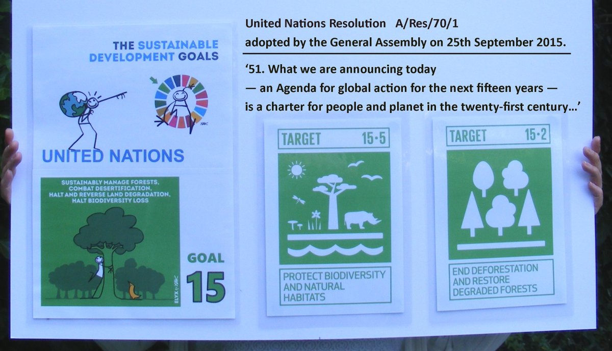 TheCartHorse1's tweet photo. @JolyonMaugham @raycasey2003 @keirstarmer I'm happy to be a tree hugger
- but I would like to know why so many right-wingers disparage the UN Sustainable Development Goals as some 'communist agenda'?🔎https://t.co/nutjjpIUGR https://t.co/NPBH2oQW3J