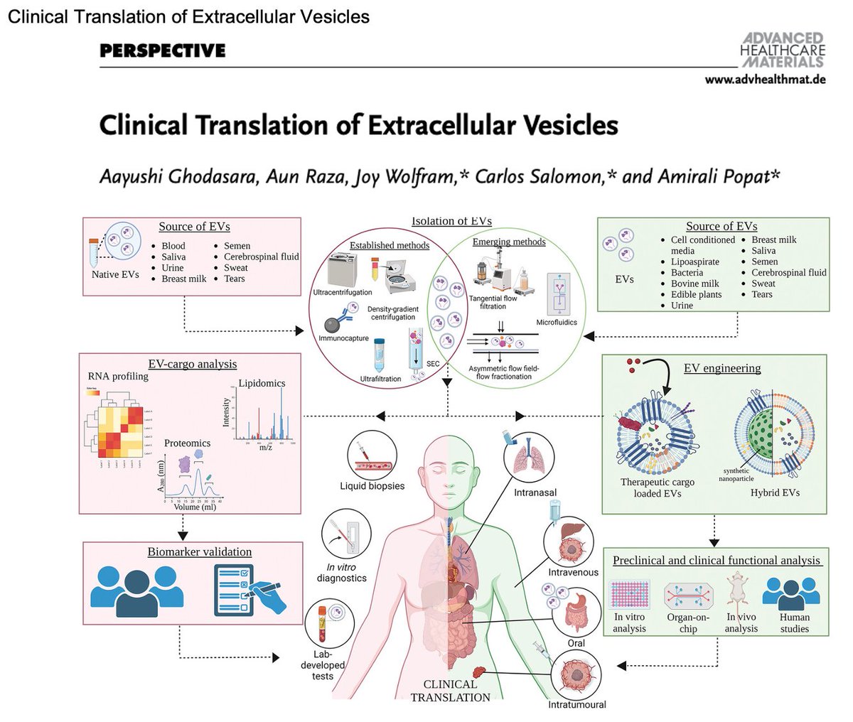cfsalomo's tweet photo. I'm thrilled to share this publication @AdvSciNews led by @__Aayushi___ in collaboration with @WolframJoy  and @popatlab, discussing the unique characteristics of EVs, clinical trends, challenges and future perspectives of EVs in clinical use @UQMedicine @EVsinObsGynOnc @nhmrc https://t.co/qNKEPhFvDU