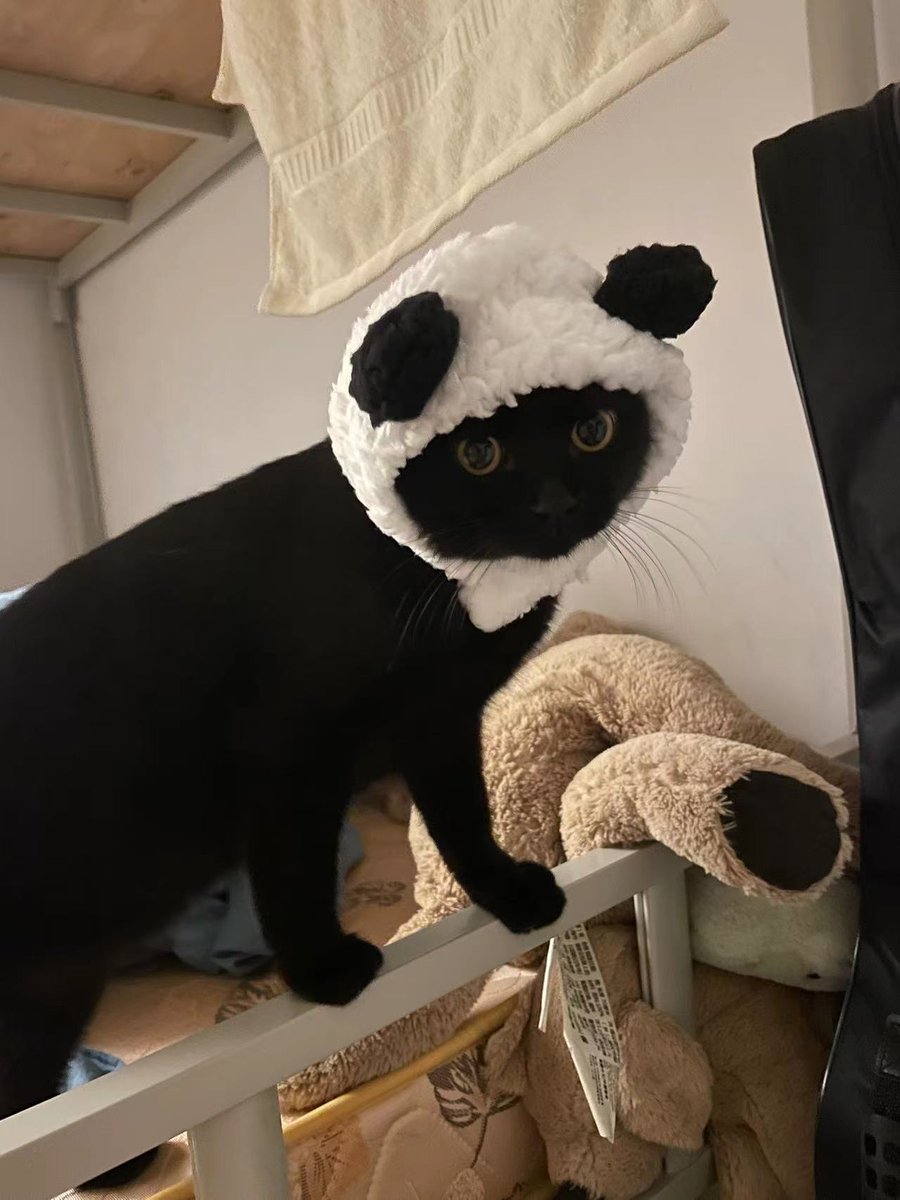 成都黒炭
