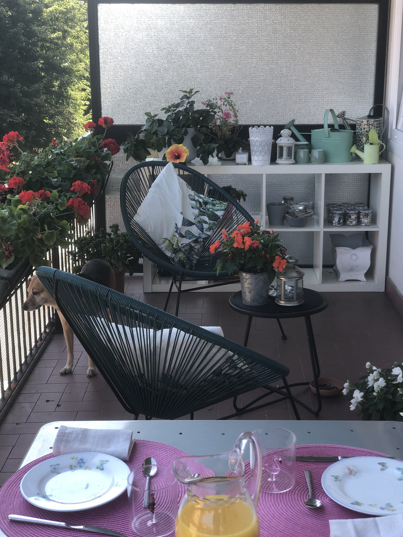 Ba on Twitter "Il mio piccolo Eden. https//t.co/g9E7Tn3KZP" / Twitter