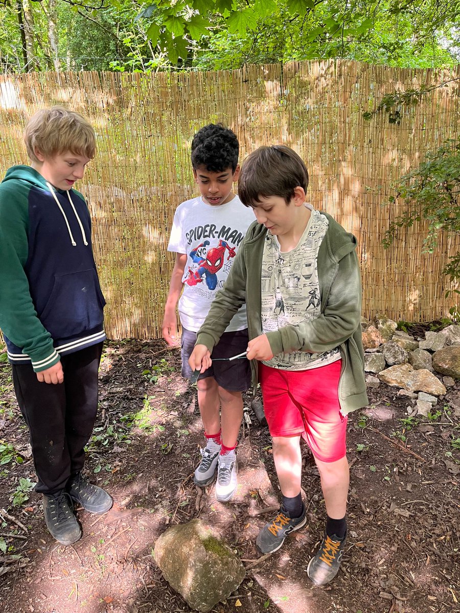 SJB Year 7 Team tweet media