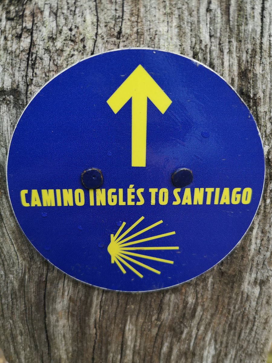 CazAdams3's tweet photo. Jack,  9, is walking a Camino for the RSPB @RSPBEngland @Natures_Voice 💚🌍🌱 starting from Reading Abbey, the walk will also continue in Spain!
https://t.co/N23wW1Fub9
@BBCGlos
@ChrisGPackham @GlosLiveOnline @SteveBackshall @DrAmirKhanGP  @MirandaKnature @MeganMcCubbin https://t.co/dNH5KNI4ub