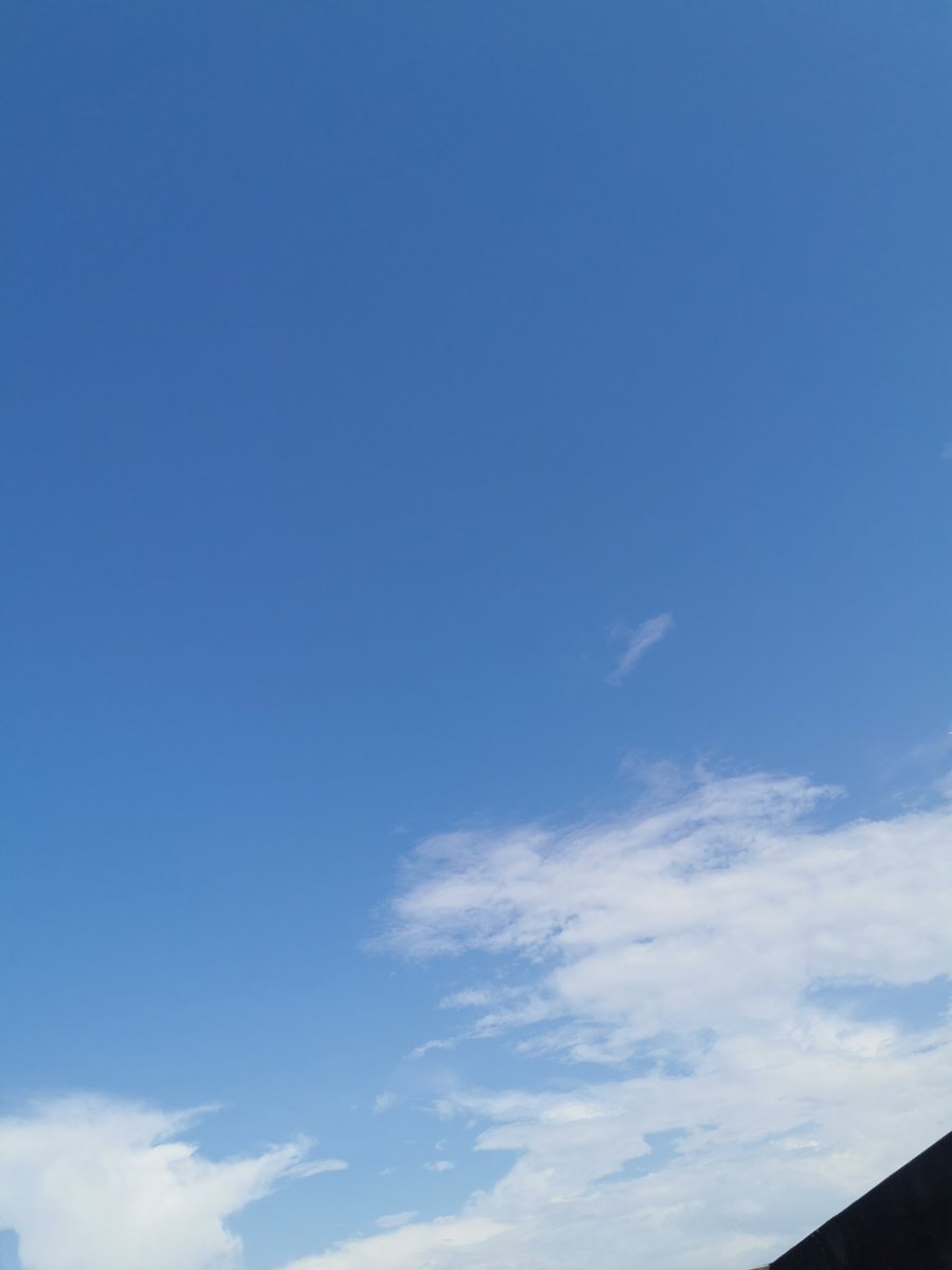 thewarmdragon's tweet photo. 超適合囉曬的天氣 https://t.co/ivoT65WIjO