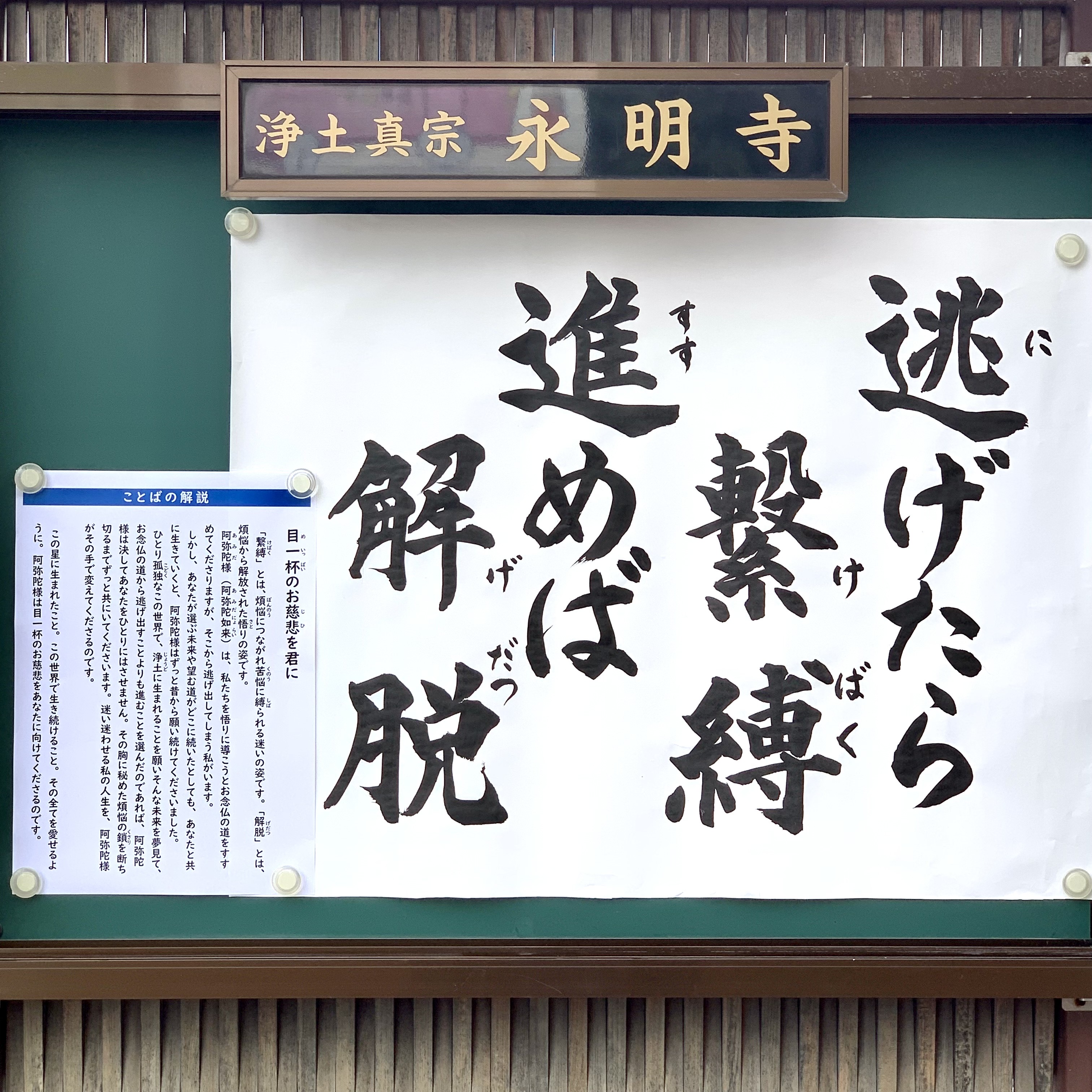 松崎智海(非売品僧侶)@浄土真宗本願寺派永明寺住職 on X: 松崎智海(非売品僧侶)@浄土真宗本願寺派永明寺住職 on X: