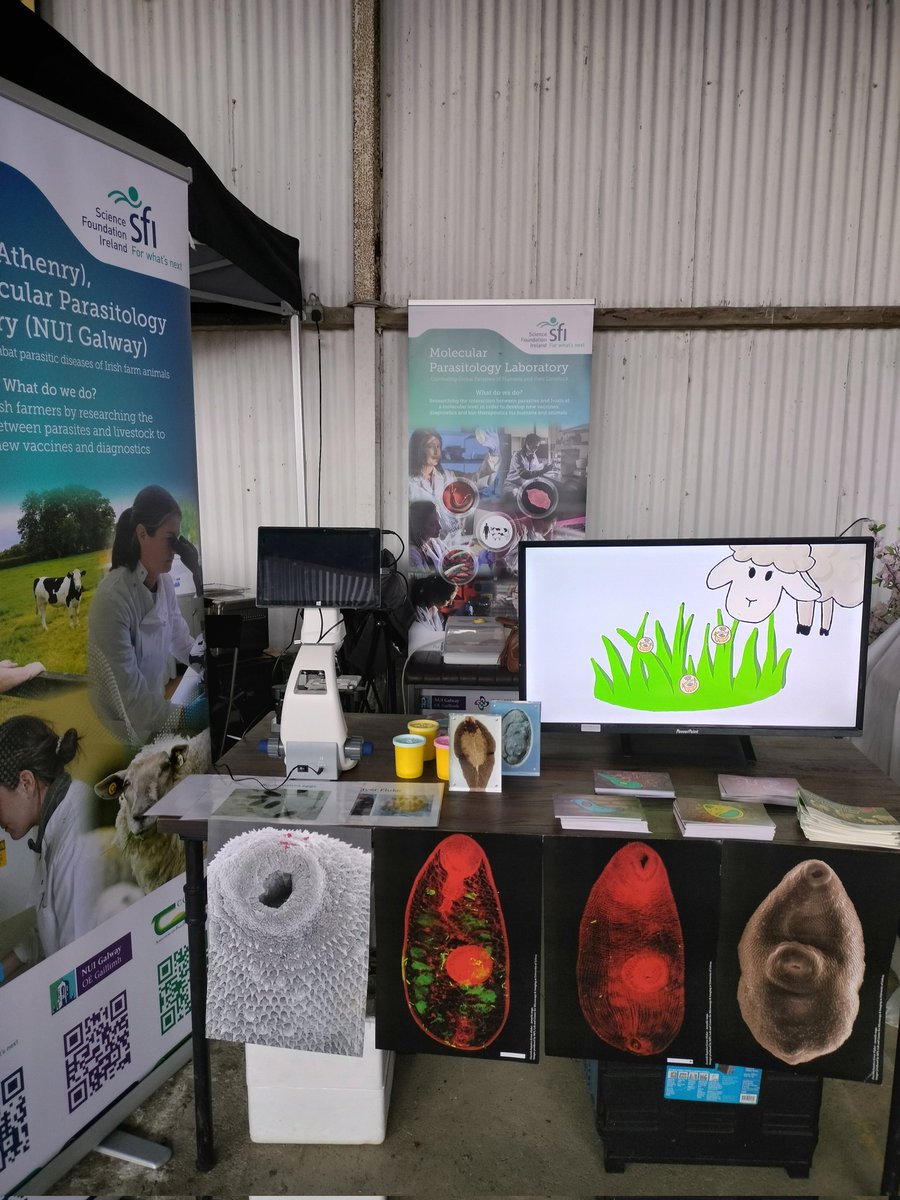 All ready for a big day of Parasitology public outreach at the <a href="/Mullingar_Show/">Mullingar Agri Show</a> <a href="/MPL_UniOfGalway/">Molecular Parasitology at the University of Galway</a> <a href="/AmberDorey1/">Amber Dorey</a> <a href="/teagasc/">Teagasc</a> <a href="/STEM_Galway/">STEM at University of Galway</a> <a href="/uniofgalway/">Ollscoil na Gaillimhe | University of Galway</a> @scienceirel <a href="/IrishResearch/">We are now Research Ireland</a>
