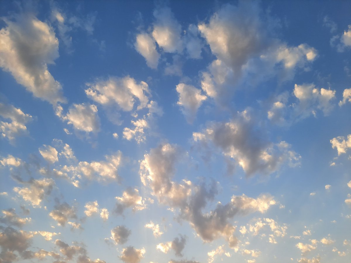 MiIAa0_0's tweet photo. ⛅️🐣 https://t.co/szEOcZNBGk