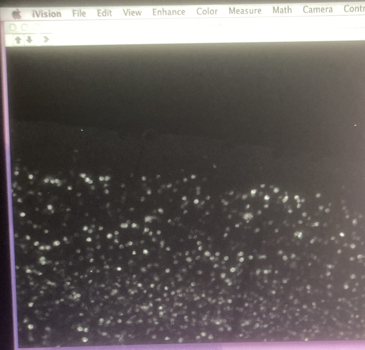 Some Sunday C-FOS 😊