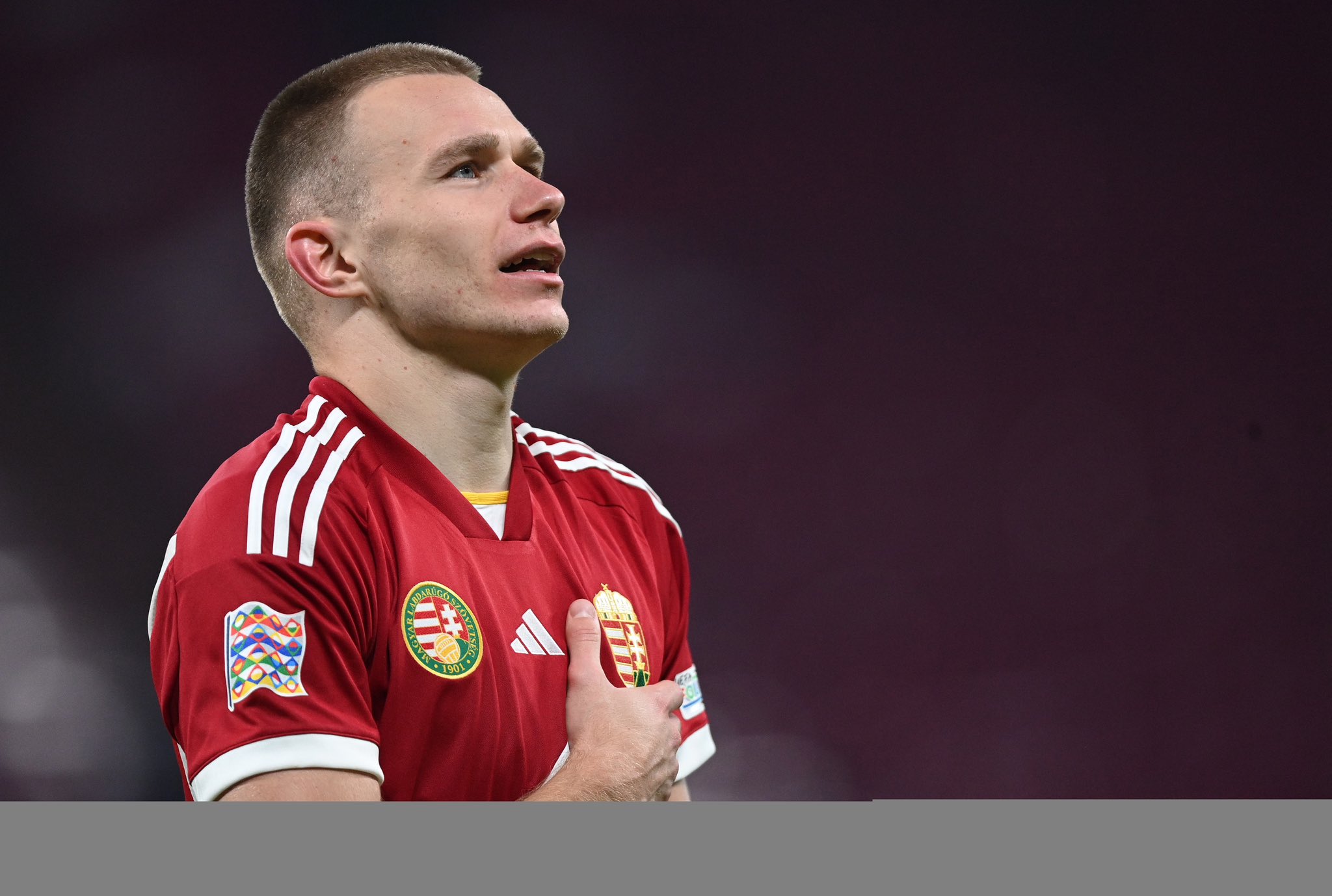 Bence Bocsák on Twitter