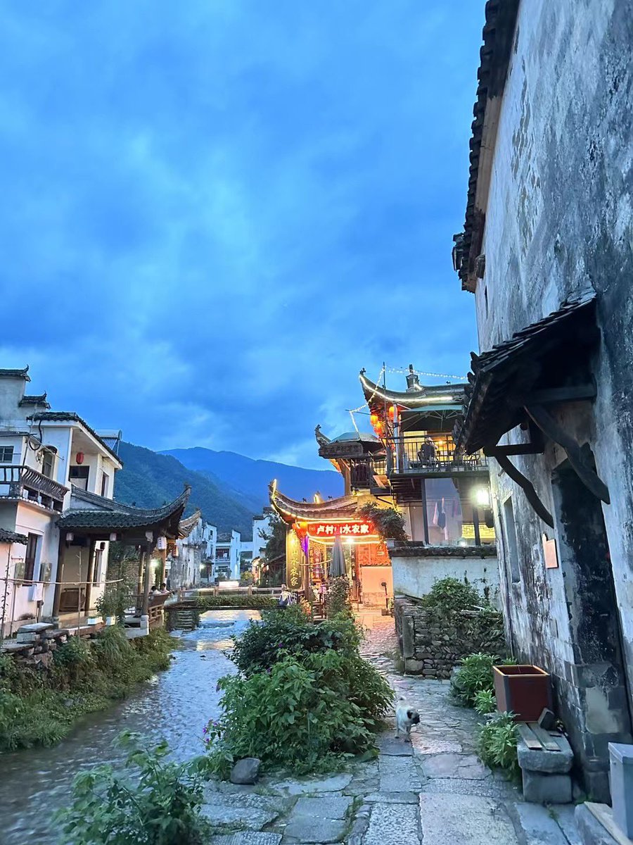 暗夜叔 (@theresadownes2) on Twitter photo 