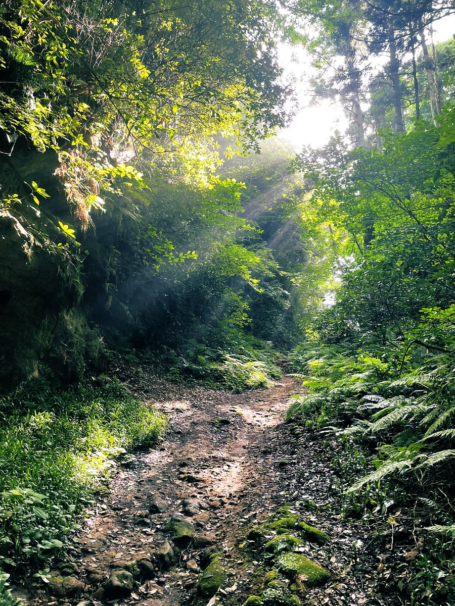 ateliermimoza's tweet photo. 今日は5時半起きで、
裏山を旦那とハイキング⛰️🎒✨✨
7キロ歩いていい汗かきました。

自習室で刺繍も。
集中してると気持ちよい。
早起きして充実した1日になりました。 https://t.co/nGkHWH2CG5