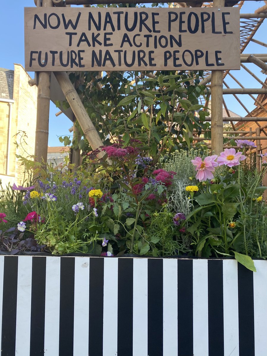 Assemble in the Forest