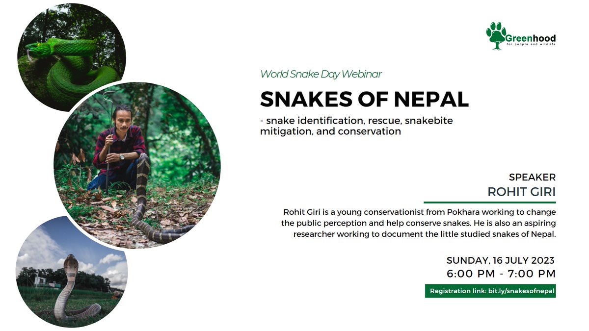 Nepal has 80+ snake species, 21 of which are venomous. Tragically, thousands of people die due to snakebites every year, leading to retaliatory killing of countless snakes. Join us next Sunday to learn about snake conservation from @rohittgiri.

Register: https://t.co/IYSOVbvObs https://t.co/Srz5kgo6Fr