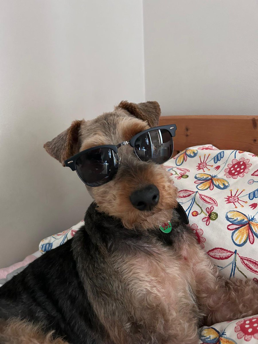 Morning everypawdy.  Have a great Sunday!