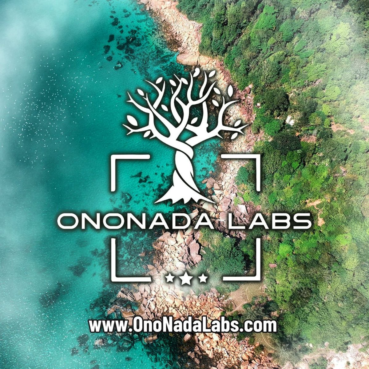 Visit our website to get started with our services today! 

You can even send us a DM with any questions regarding our products which we offer! 

#Ononada #OnonadaLabs #Crypto #ITbusiness #BNB