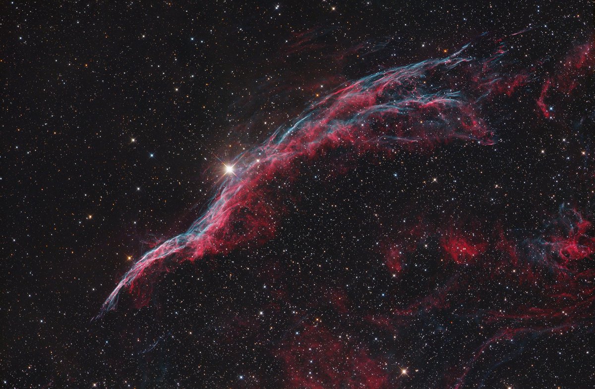 Revisiting some old data.   Witches Broom taken from my back yard last summer.