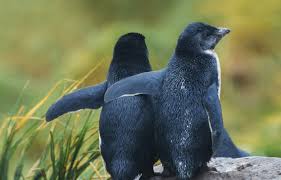 Help Each Other
#Love #relationship