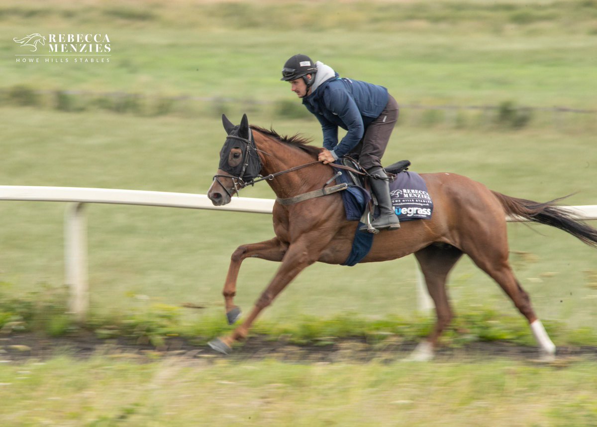 Two runners today starting with Nastasiya in the 2.20 Tom Halliday Memorial Conditional Jockeys' Handicap Hurdle at <a href="/MarketRasenRace/">Market Rasen Racecourse</a> 
Ridden by <a href="/AaronAndo91/">Aaron Anderson</a> 
Good luck to owners <a href="/ValueRacingClub/">Value Racing Club</a> 
#horsetraining #stablelife #racehorsetrainer #racehorse #jockey #horserace