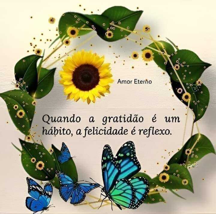 ReikiFloripa's tweet photo. BOM DIA... iniciando os trabalhos... GRATIDÃO...

🙌🙌🙌#thfloripa #reiki #cristais #cura #terapiafazbem #terapiaonline #terapiadeenergia #gratidão #boasvibrações https://t.co/hv6Y1M7Hbf