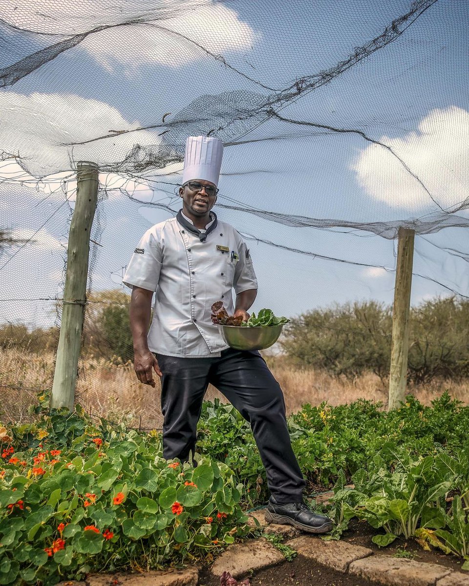Join us on a gastronomic journey that celebrates the freshness and flavors of our bountiful land.

#EncounterElewana #FarmToTable #CulinaryAdventures #TasteOfKenya