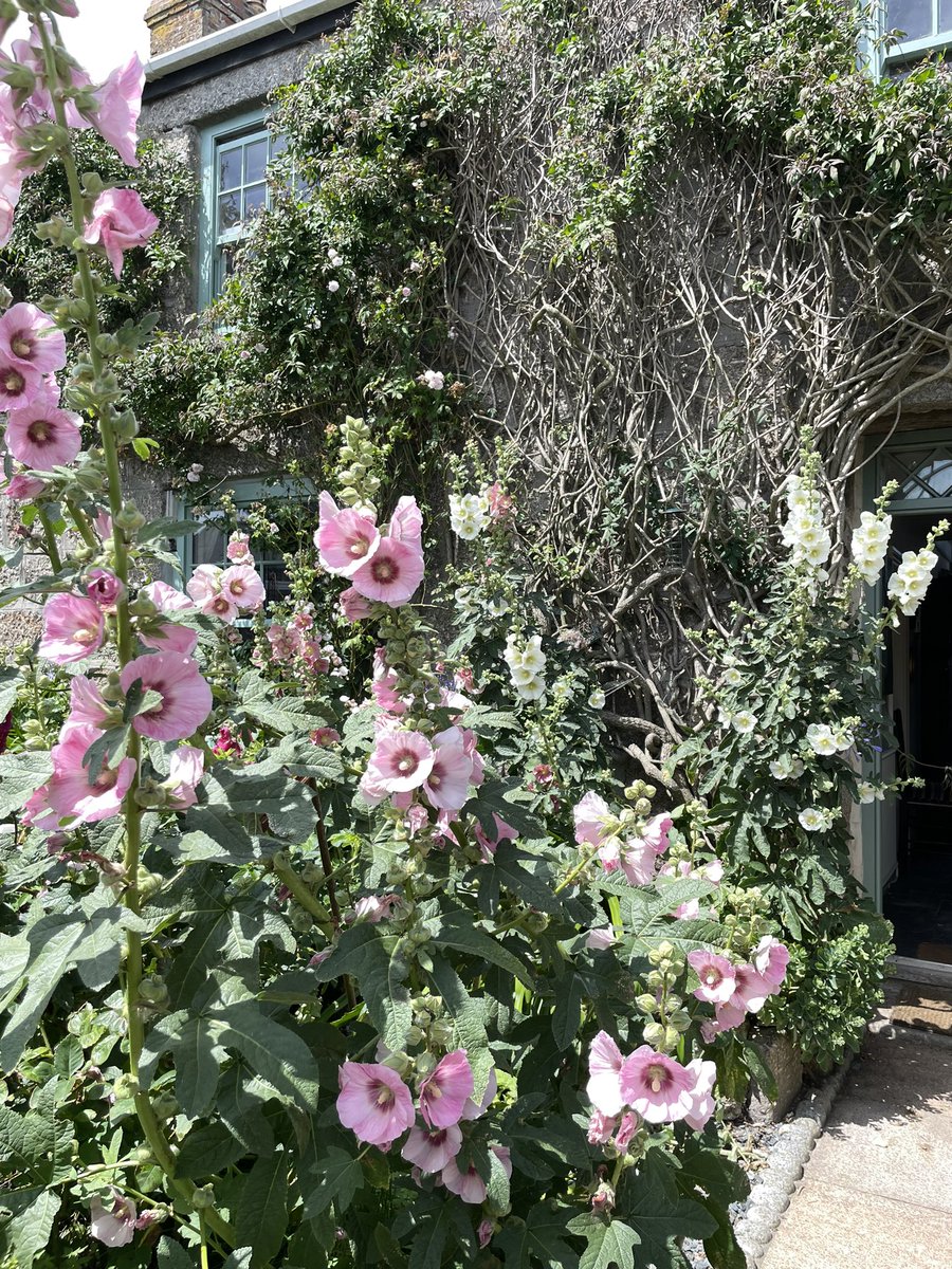 Eva Seymour tweet media