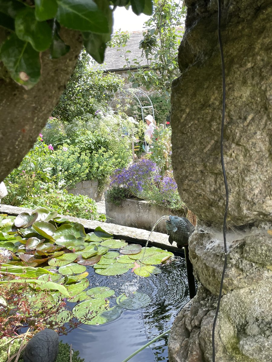 Eva Seymour tweet media