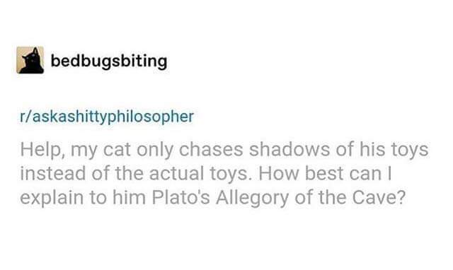 Classical Studies Memes (@csmfht) on Twitter photo 